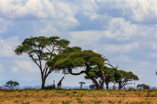 Guinea-Bissau weather forecast