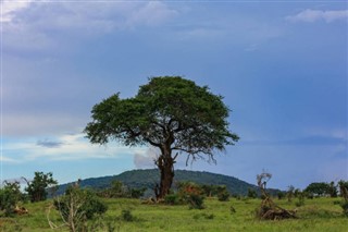 Guinea-Bissau pronóstico del tiempo