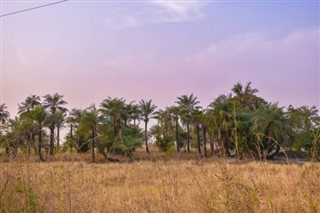 Guinea-Bissau weather forecast