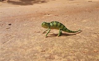 Guinea-Bissau weather forecast