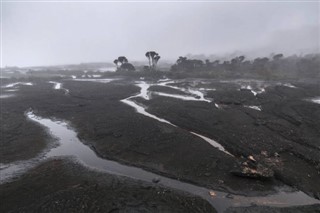 Guyana weather forecast