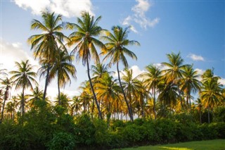 Guyana weather forecast