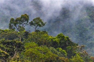 Guyana weather forecast