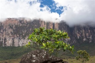 Guyana weather forecast