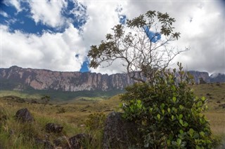 Guyana weather forecast