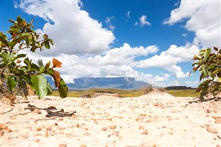 Guyana weather forecast