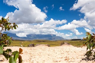 Guyana weather forecast