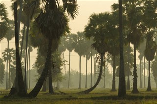 Haiti vremenska prognoza