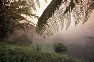 Honduras weather forecast