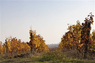 Hungary weather forecast