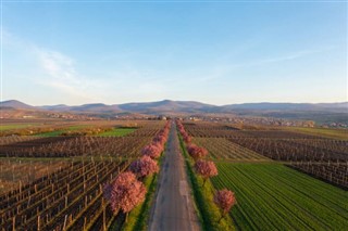 Hungary weather forecast