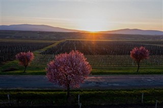 Hungary weather forecast