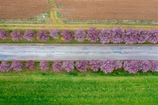 Hungary weather forecast