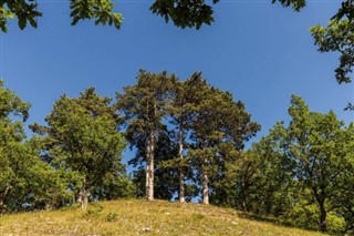 Hungary weather forecast