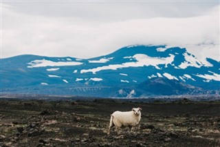 Iceland weather forecast