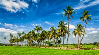 India pronóstico del tiempo