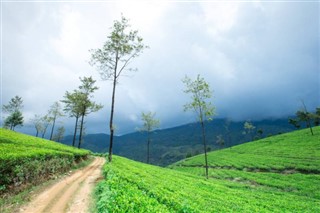 India weather forecast