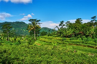 Indonesia weather forecast