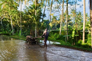 Indonesia weather forecast