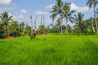 Indonesia weather forecast