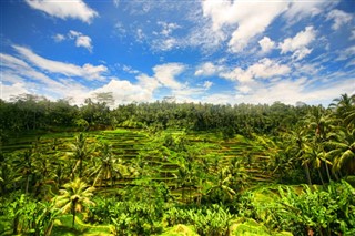 Indonesia weather forecast