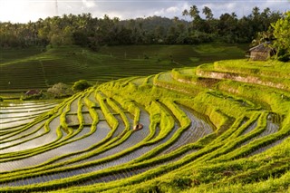 Indonesia weather forecast