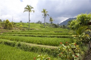 Indonesia weather forecast