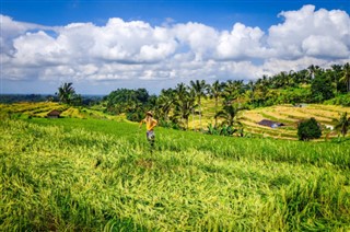 Indonesia weather forecast