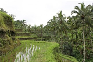 Indonesia weather forecast