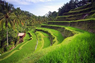 Indonesia weather forecast