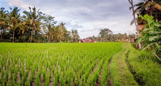 Indonesia weather forecast