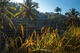 Indonesia weather forecast