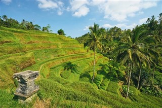 Indonesia weather forecast