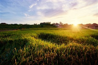 Indonesia weather forecast