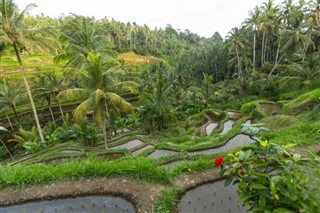 Indonesia weather forecast