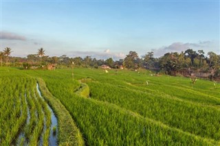 Indonezja prognoza pogody