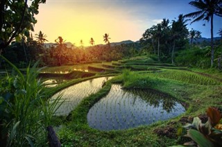 Indonesia weather forecast