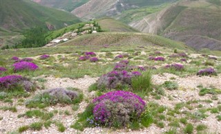 Iran weather forecast