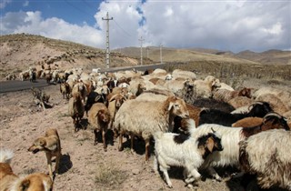 Iran weather forecast