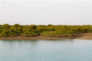 Corrí pronóstico del tiempo