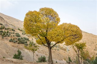 Iran weather forecast