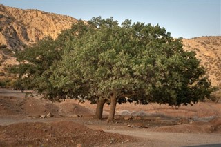 Iran weather forecast