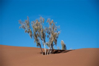 Iran weather forecast