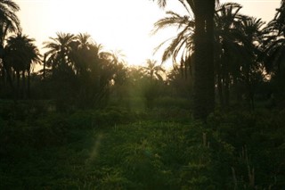 Iraq weather forecast