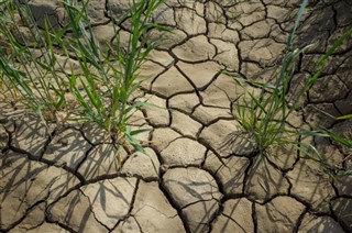 Iraq weather forecast