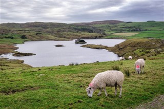 Ireland weather forecast