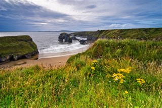 Ireland weather forecast