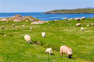 Ireland weather forecast