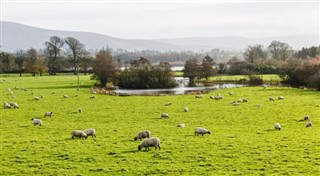 Ireland weather forecast