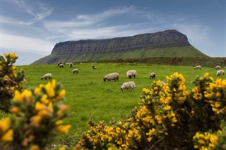 Ireland weather forecast